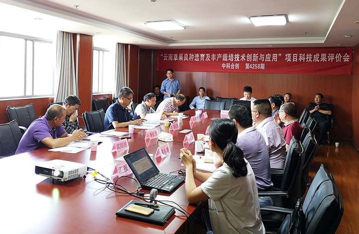 云南草果良种选育及丰产栽培技术创新与应用 anli.jpg